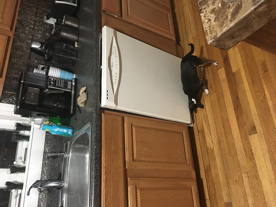 2nd image of 9 Hancock St #2