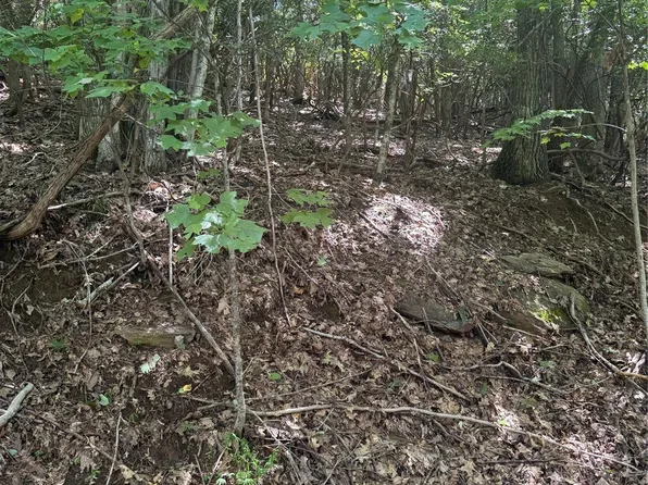 0 Wild Cherry Dr #187, Mills River, NC 28759