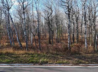Yellow Birch Trl, Duluth, MN 55810