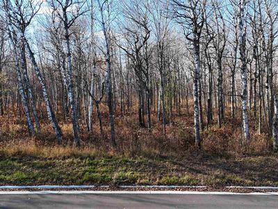 Yellow Birch Trl, Duluth, MN, 55810
