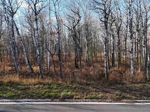 Yellow Birch Trl, Duluth, MN 55810