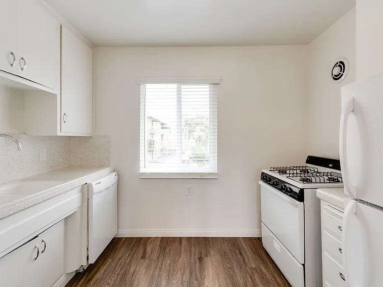 Antone Apartments — Photo 138