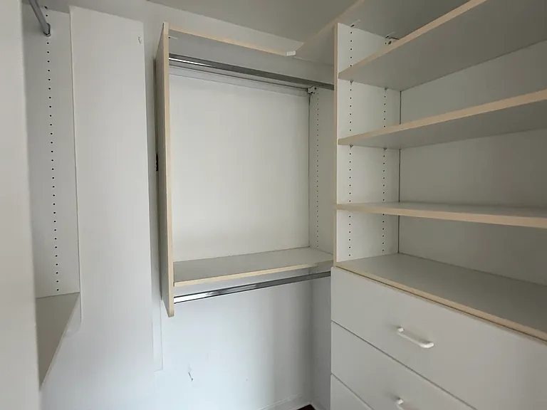 primary suite walk-in closet