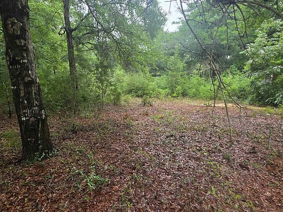 3rd image of Pickens Cir