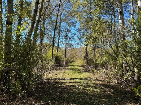 30th Ave, Remus, MI 49340