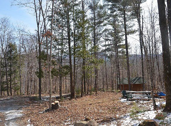 3rd image of 110 Bell Meadow Way