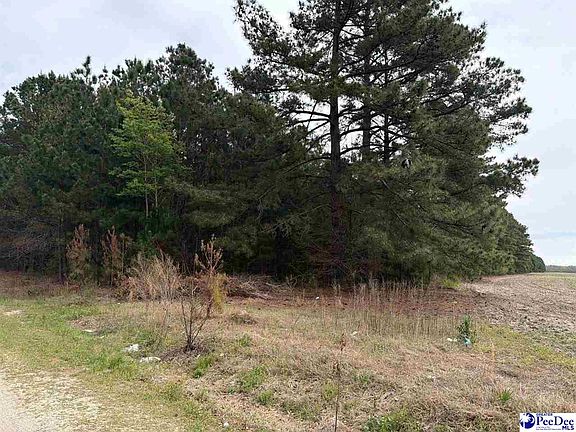 4th image of Mta 6 Heustess Rd