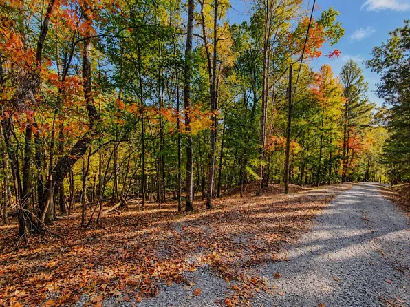 3118 Opal Ln, Ellijay, GA 30540