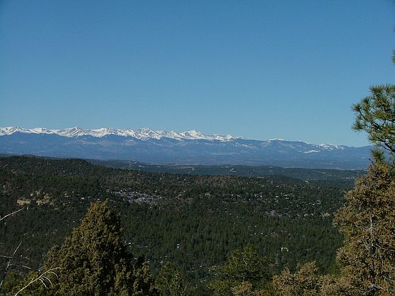 3rd image of Tbd Tall Timber Trace