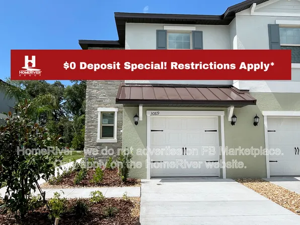 30819 Veridian Way, Wesley Chapel, FL 33543