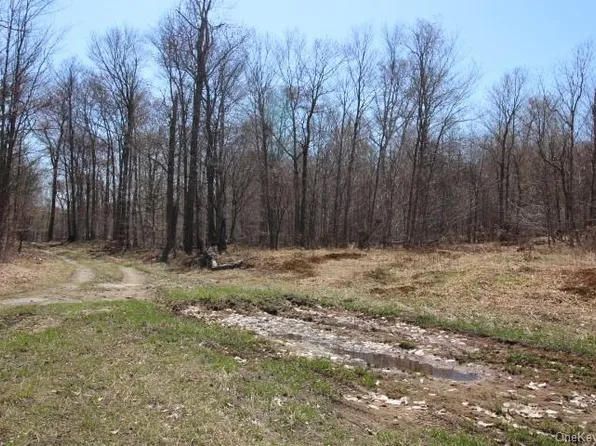 Cattail Road, Livingston Manor, NY 12758