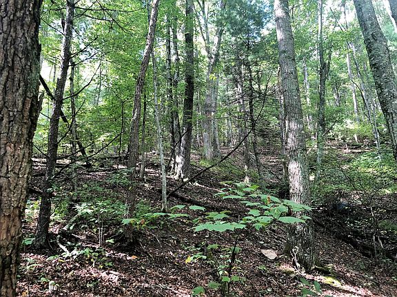 4th image of Tbd Edsel Hollow Trl
