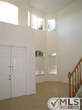 Ready for paint, color and YOUR imagination.