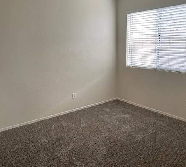 8006 W Adam Ave — Photo 6