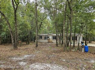 2469 OLEANDER Avenue, Middleburg, FL 32068