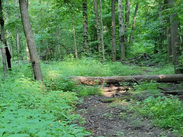 10291 Day Rd, Pittsford, MI 49271