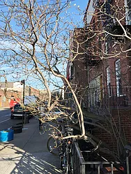 Rented by Awaye Realty Management LLC