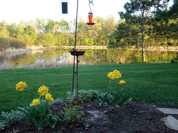 View from the porch