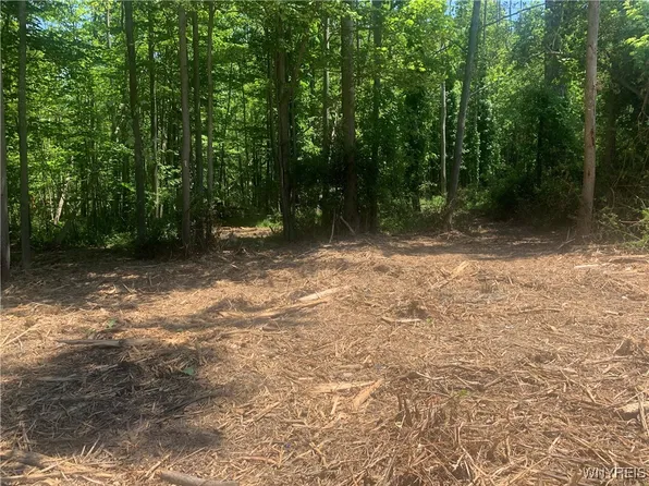 9863 Utica St #14, Angola, NY 14006