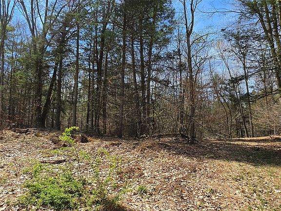 5th image of Lot 12 Tyler Road