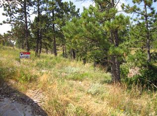 Tbd Mt Shadows Rd, Piedmont, SD 57769