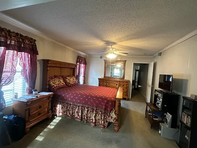 29 Mike Dr — Photo 19