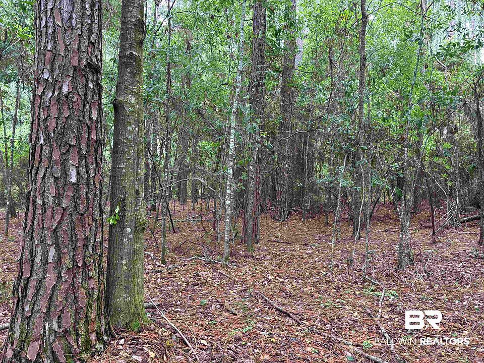 1st image of 5 County Road 48 #5