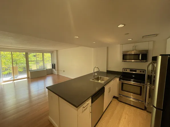 293 Harvard St #210, Cambridge, MA 02139