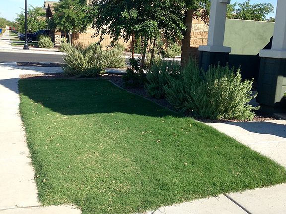 Front - View to the East