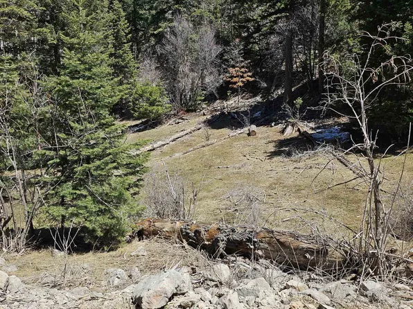1088 Woodlands Way, Cloudcroft, NM 88317