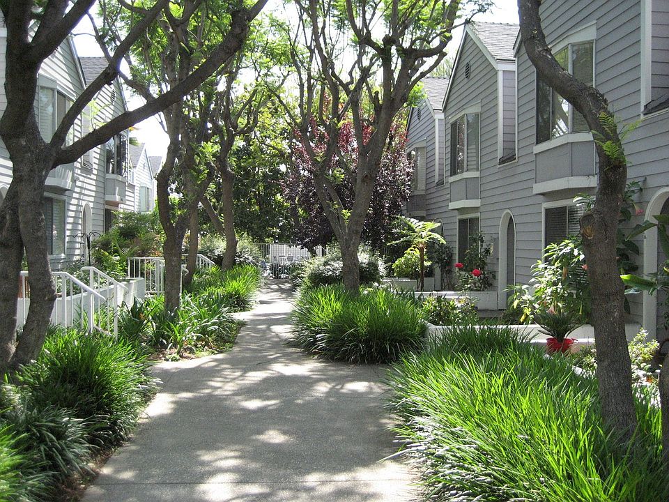 Complex