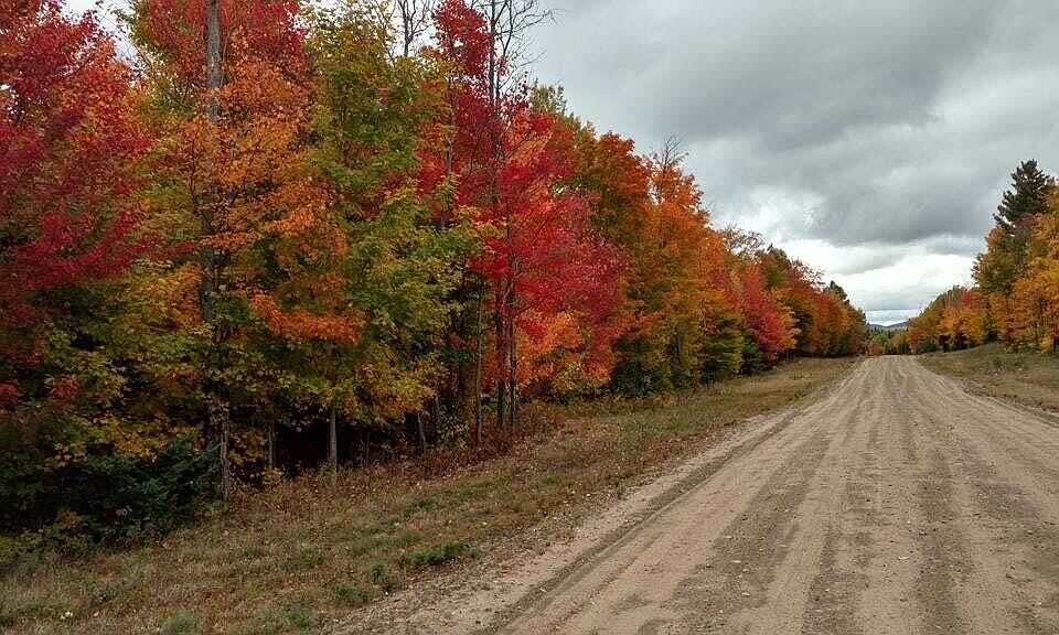 1st image of LOT 11 Daigneau Trl