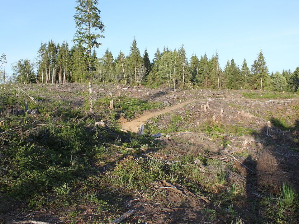 vacant land zoned RA2