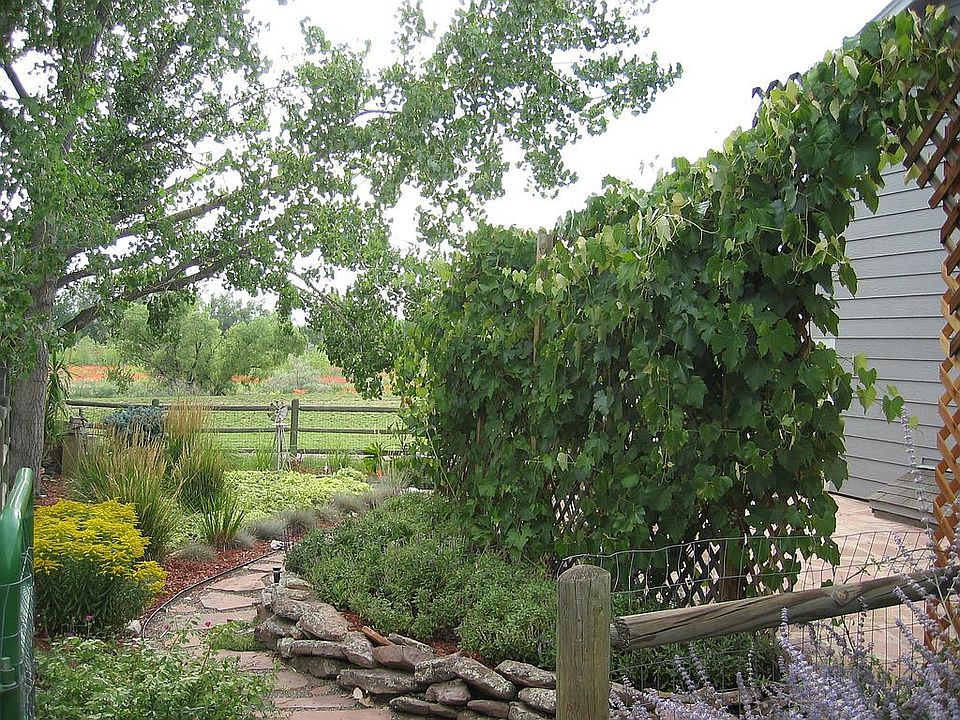 South Side of House looking West toward Park out back
