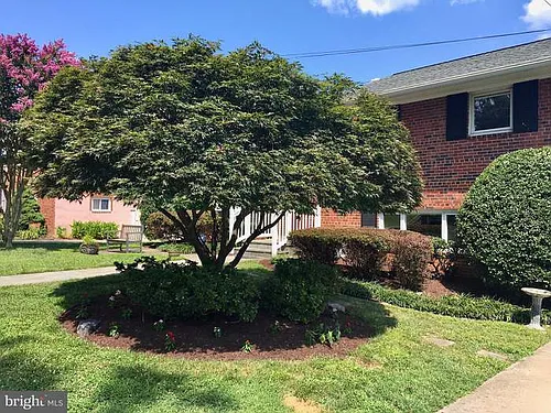 4813 Mori Dr Photo 1