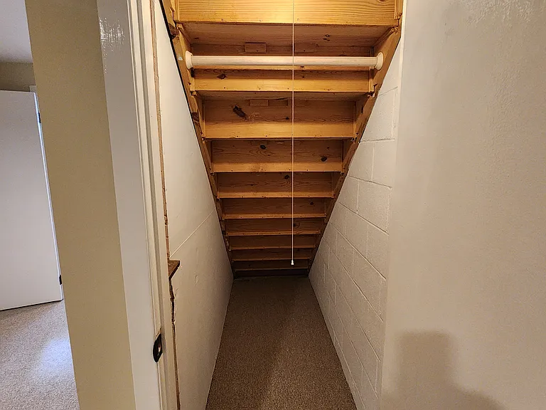 Closet Under the Stairs for Storage