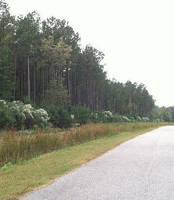 4th image of 0000 Four Pines Trail LOT 14