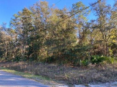 0 NE 453rd Ave, Old Town, FL, 32680