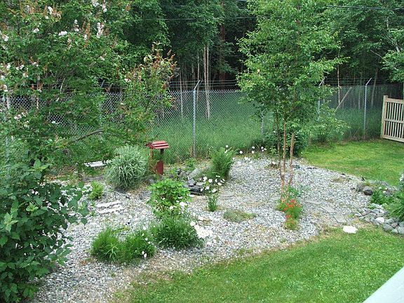 Back yard landscaping