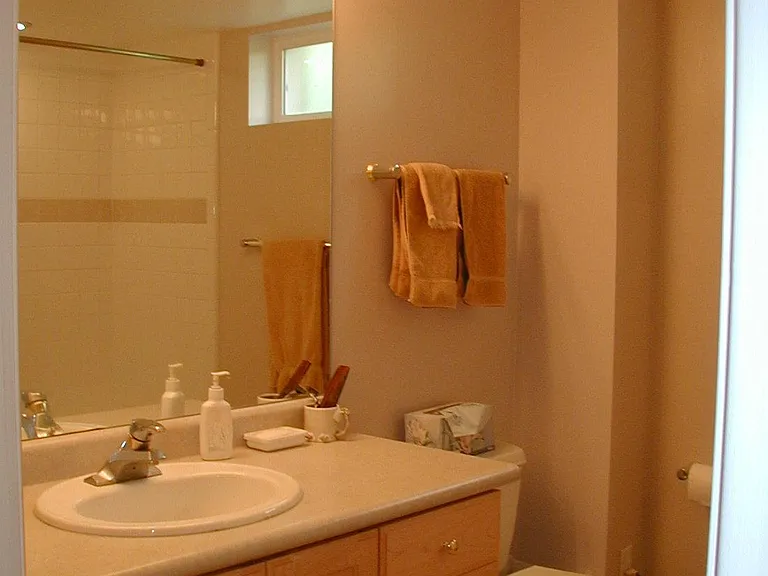 basement bathroom (tub surround in mirror)