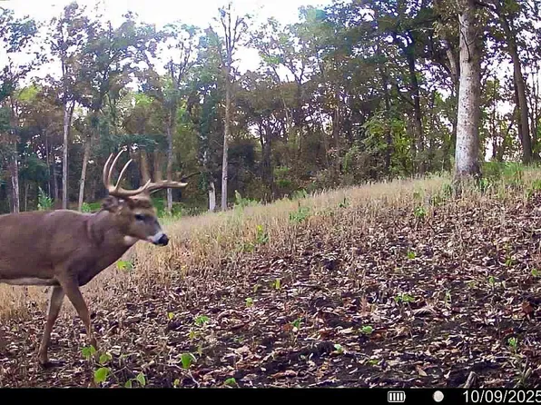 W27022 Whistle Pass Rd, Trempealeau, WI 54661