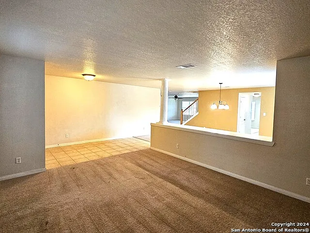 208 Springtree Cv — Photo 9