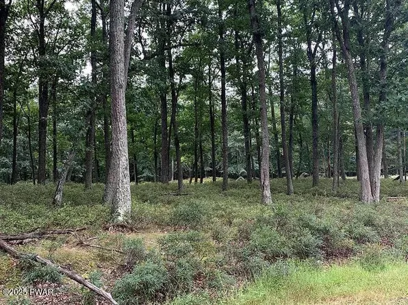 Buttonbush Ln, Hazleton, PA 18202