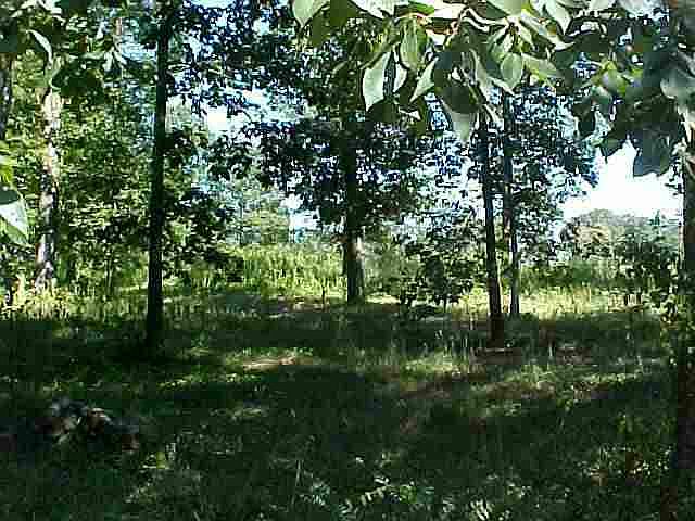 1st image of 0 Crum Rd Lot 3