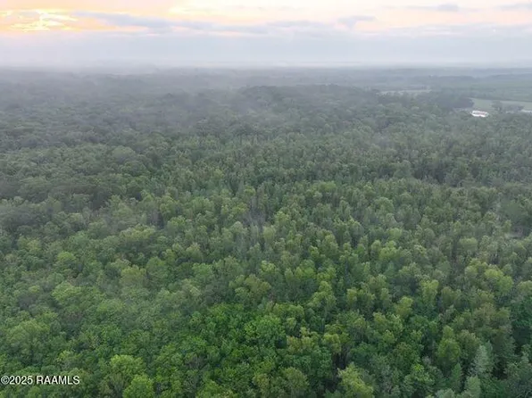 4216 Highway 361, Morrow, LA 71356