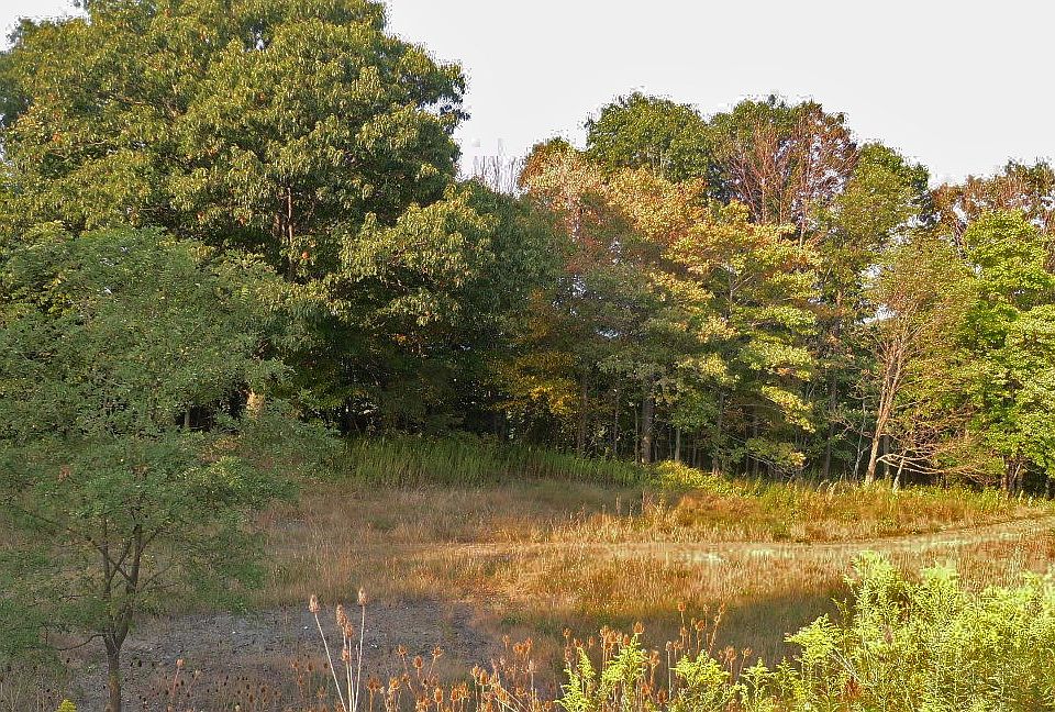 2nd image of 0 Moose Hill Rd