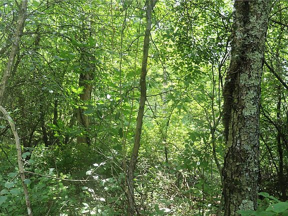 3rd image of 1 Old Distillery Rd
