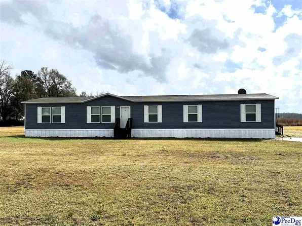 239 Harper Rd, Marion, SC 29571