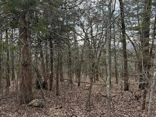 Mallard Dr, Diamond City, AR 72630