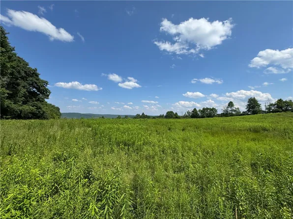 Wilbur Hill Rd Lot 49, Unadilla, NY 13849